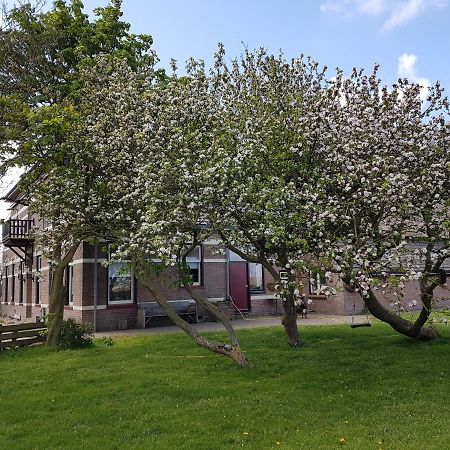 Bed and Breakfast Hunsingo Texel De Cocksdorp  Exteriér fotografie